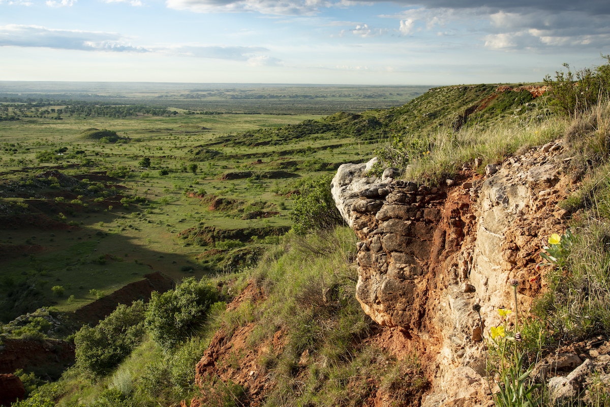 For Sale: 78,000-Acre Texas Ranch for $180M | Realty News Report